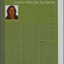 Anuario Asociación de la Prensa de Granada. Escrita projeto de Virginia Castaño Muñoz - 06.04.2012