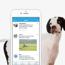 Dogways app. Un proyecto de UX / UI y Diseño interactivo de Gemma Busquets - 01.05.2016