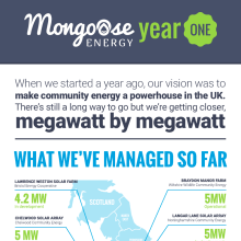 Diseño de infografía: "Mongoose Energy: Year One" . Gestão de design, Design gráfico, Arquitetura da informação, e Design de informação projeto de Manuel Ortiz Domínguez - 18.05.2016