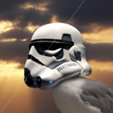 Star Wars Seagull. Creative Consulting, and Graphic Design project by Angel Asperilla - 06.12.2016