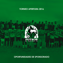 Brochure para Sponsorships del equipo FC Potros de Barinas. Un proyecto de Br, ing e Identidad y Diseño gráfico de Stefano Dell'olio - 19.06.2016