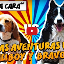 "Las Aventuras de Scaliboy y Bravocan". Animação, Pós-produção fotográfica, e VFX projeto de Pep T. Cerdá Ferrández - 21.06.2016