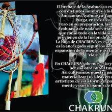 Flyer digital para "Chacruna" (Cuzco, Peru). Un proyecto de Diseño gráfico de Yo Tonga - 11.10.2015