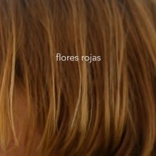 Flores rojas. Un proyecto de Música, Cine, vídeo y televisión de Alfonso Alonso - 17.07.2016