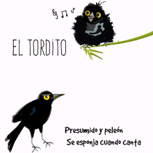 El tordito BlackBird. Un proyecto de Ilustración tradicional, Diseño de personajes, Diseño gráfico y Cómic de Valentina Urdaneta Urdaneta - 03.07.2016