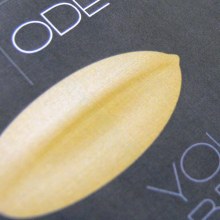 Ode type. T, and pograph project by Raquel Marín Álvarez - 07.04.2016