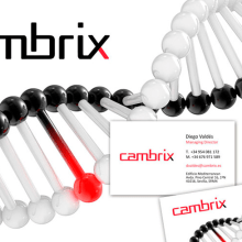 Cambrix Genomic Institute. Projekt z dziedziny Projektowanie graficzne użytkownika YCP Creativos - 04.07.2016