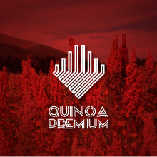 Imagen Corporativa Quinoa Premium. Art Direction, Br, ing, Identit, and Graphic Design project by Gian Trentin - 06.22.2016