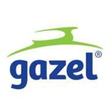Proyecto: Empresa Gazel . Un projet de Marketing de NasHla Reyes - 25.07.2016