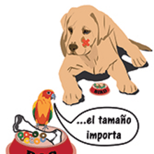 Perro y pajaro Illustrator. Un proyecto de Diseño de Estela Calero Varszafski - 10.08.2016