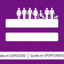 Empleo y Discapacidad 2013 - Imagen y Material Gráfico. Design, Editorial Design, and Graphic Design project by Nuria Muñoz - 08.29.2016
