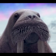 Bud Ligth Ritas - 3D Animation (sea lions & walruses). Un proyecto de 3D y Animación de David Escribano Albéniz - 13.09.2016