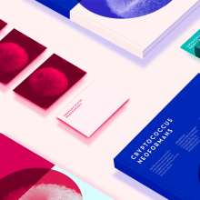 Cryptococcus  . Br, ing, Identit, Editorial Design, and Graphic Design project by María Design (The Visual Romance) - 09.17.2016