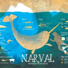 Narval. Un proyecto de Ilustración tradicional de Clara Fort - 18.09.2015