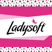 Ladysoft Brasil. Design, and Web Design project by eva_maria_romero - 10.31.2015