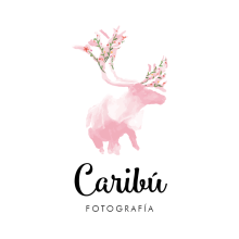 Nueva identidad gráfica corporativa. Caribú Fotografía. Un proyecto de Diseño editorial y Diseño gráfico de Isabel García - 20.09.2016