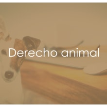 Jornadas de Derecho Animal. Graphic Design project by Conchi Fernández Regal - 09.26.2016