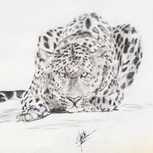 Jaguar sketch. Ilustração tradicional projeto de Edson Saavedra - 05.10.2016