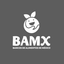 INFORME ANUAL BANCO DE ALIMENTOS DE MEXICO 2015. Design, Br e ing e Identidade projeto de carolina rivera párraga - 12.01.2016