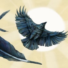 "Crow Brings the Daylight". Book Illustration. Un proyecto de Ilustración tradicional de Elisa Plance - 29.10.2016