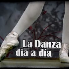 La Danza Día a Día :: Video Expo. Motion Graphics, Film, Video, TV, Photograph, and Post-production project by Javi de Lara - 09.10.2007