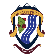 Logotipo Club Dpt. La Cantera. Un proyecto de Br, ing e Identidad, Diseño gráfico y Serigrafía de Abian Valido - 25.08.2015
