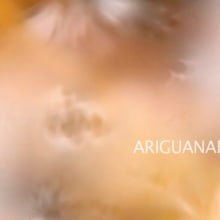 Ariguanabo . Un proyecto de Cine, vídeo, televisión y Vídeo de Sònia Lozano - 11.02.2016