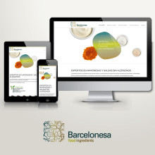 Barcelonesa Food Ingredients. Un proyecto de UX / UI y Diseño Web de Borja Cabeza Cabello - 05.03.2016