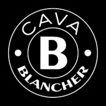 Packaging Cava - Bodegas Blancher. Br, ing, Identit, and Packaging project by nacho_saenz - 05.07.2016