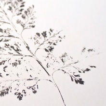 Gyotaku. Un proyecto de Diseño, Ilustración tradicional y Bellas Artes de maria lluveras serra - 29.01.2017