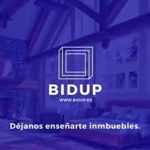 Bidup. Un proyecto de Dirección de arte, Br, ing e Identidad, Diseño gráfico y Diseño Web de Aleks Figueira - 31.01.2017