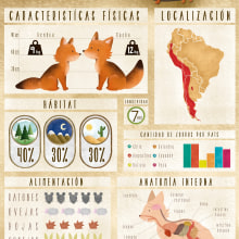 Infografía Zorro Culpeo. Traditional illustration, Graphic Design & Infographics project by Vale Wilson - 07.08.2015