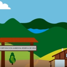 M O T I O N      G R A P H I C  Para -ONG- (Corporación ambiental Colombia Reserva de Vida). Animação projeto de Dionel Parra - 08.02.2017