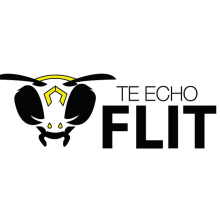 Te echo flit (servicio de fumigación). Graphic Design project by Ana Michelle Guerra - 02.21.2017