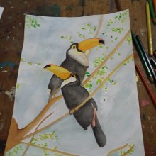 Tucanes. Un proyecto de Ilustración tradicional, Bellas Artes y Pintura de Sabri Mazz - 11.02.2017