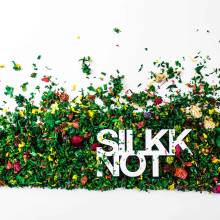 Colección Primavera Verano 2015 Silkknot. Design, Fotografia, Br e ing e Identidade projeto de mapaestudio - 15.05.2015