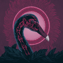 Black Swan. Ilustração tradicional, e Design gráfico projeto de Andreu Zaragoza - 03.04.2017