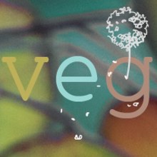 v e g. Design, and Photograph project by Txeka - 04.11.2017