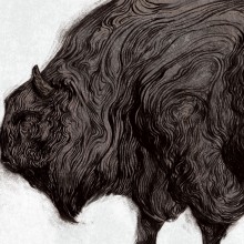 Mastodon Series II. BISON. Un proyecto de Ilustración tradicional de Álvaro Cubero González - 31.08.2016
