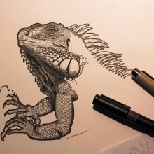 Iguana iguana. Traditional illustration, and Fine Arts project by Arturo Blasco - 05.08.2017