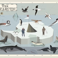 The Antarctic. Un proyecto de Ilustración vectorial de Pelopantón - 20.04.2017