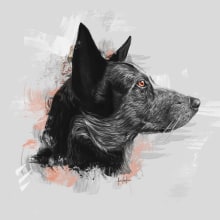 Dog portraits . Un projet de Illustration traditionnelle , et Beaux Arts de Ricardo Macía Lalinde - 20.05.2017