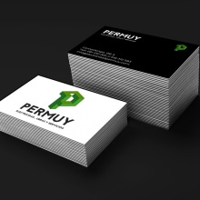 Diseño de Logo y tarjetas para la empresa Permuy (electricidad, obras y servicios). Br, ing, Identit, and Graphic Design project by Sonia Bardancas - 05.31.2017