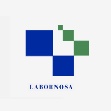 Identidade Corporativa de LABORNOSA, Laboratorio do Noroeste, SA . Br, ing & Identit project by Xosé Maria Torné - 06.05.2008