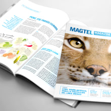 Revista corporativa Magtel. Br, ing e Identidade, e Design editorial projeto de Julieta Giganti - 20.12.2015