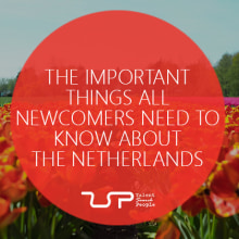 The important things all newcomers need to know about the Netherlands. Infografia projeto de Talent - 06.07.2017