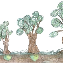 "De semilla a árbol". Ilustração tradicional projeto de Lucía Triviño - 01.09.2014