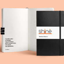 Grupo Shiné. Br, ing, Identit, and Graphic Design project by Aníbal Martín Martín - 07.26.2017
