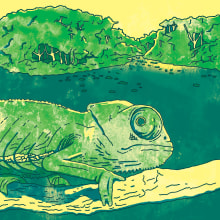 Camaleón en la selva. Traditional illustration project by Martín Salas - 07.30.2017