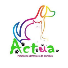 ACTÚA, Protectora de Animales (Ciudad Real, 2016). Een project van  Ontwerp y Fotografie van Alejandro Cerro Martin - Serrano - 25.07.2016